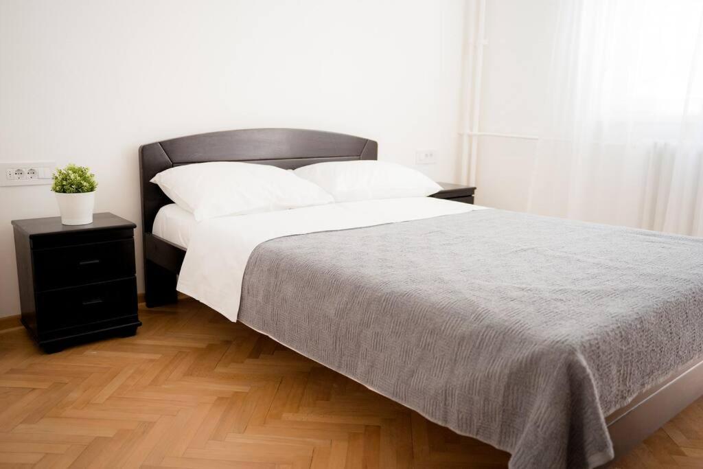 Downtown, Spacious, 2 Bedroom Apartment เบลเกรด ภายนอก รูปภาพ